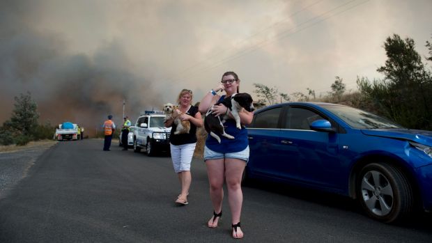 Calissa Wallace with her mum and two dogs, walking away from the flames that had engulfed their Carwoola home on ...