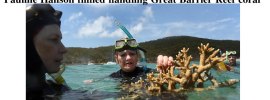Pauline Hanson filmed handling Great Barrier Reef coral – @qldaah #qldpol #auspol