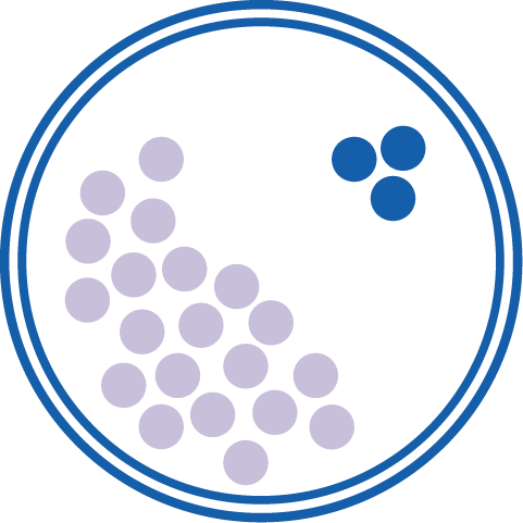 Image of petri dish