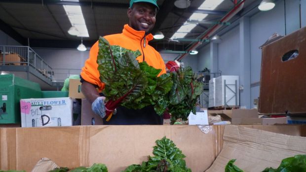 Vegetables for home delivery in Australia might be an Amazon project within the next year or two.