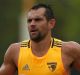 Much of what Luke Hodge did as captain is done at other clubs in the coaching box. 