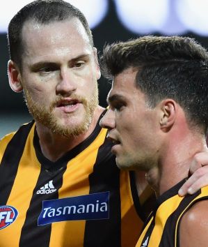 Jarryd Roughead talks to Jaeger O'Meara during the 2017 JLT Community Series match between Hawthorn and Geelong.