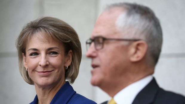 Minister for Employment Michaelia Cash and Prime Minister Malcolm Turnbull are both in Mr Palmer's sights.