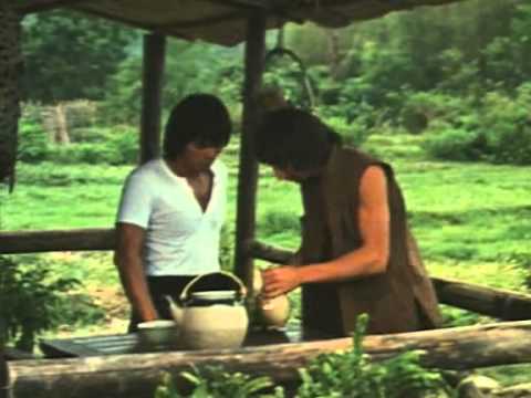 Snake In The Monkey's Shadow (1979) - John Cheung, Wilson Tong, Charlie Chan