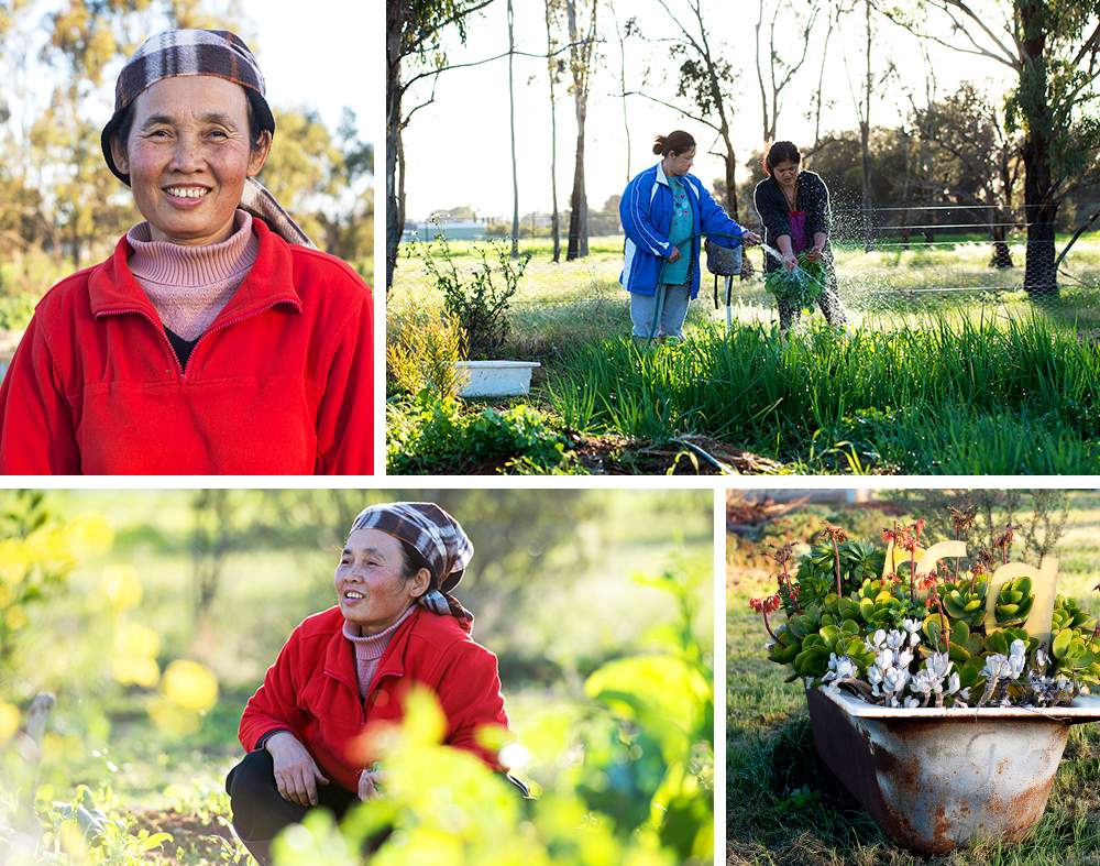 Wah Ka Paw La, left, among new growth in Nhill.