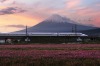 A shinkansen passes Mt Fuji, Japan.