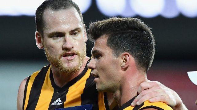 Jarryd Roughead talks to Jaeger O'Meara during the 2017 JLT Community Series match between Hawthorn and Geelong.