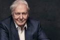 David Attenborough is in Australia in February to promote Planet Earth II.