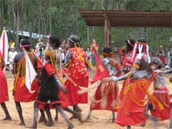 Photograph of dance performance at Garma Festival 2005