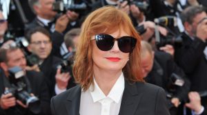 Susan Sarandon has said her sexual orientation is "open".