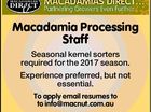 Macadamia Processing Staff