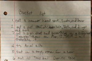 11-year-old Jesse's bucket list is giving the internet serious #lifegoals.