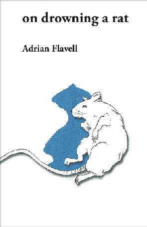 * Adrian Flavell / on drowning a rat