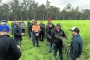 FOLLOWING the extremely wet conditions through most parts of the Great Southern last year, canola growers in the area can use findings from a grower-led canola variety trial to make informed decisions on their crop choices for this year.
