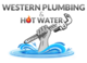 Plumber in Largs Bay