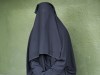 WA MP Peter Abetz said the burqa is “contrary to our Australian culture”. Picture: Steve Ferrier