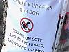 Woman named and shamed over dog poo