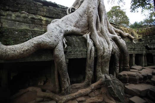 Tour the temples of Angkor, Cambodia. Don?t limit yourself to Angkor Wat ? there are hundreds of temples here to be ...