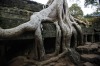 Tour the temples of Angkor, Cambodia. Don?t limit yourself to Angkor Wat ? there are hundreds of temples here to be ...