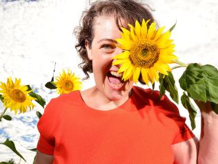 Sunflower project at Acland St