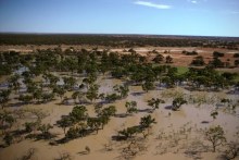 Darling River floodplain (Getty Images)