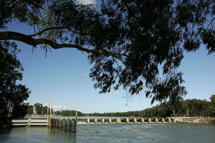 A lock and weir in a river with a river hanging over