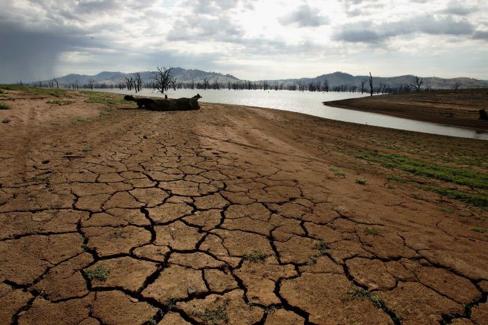 A dry bed of a river, water in the background and trees coming out of the river