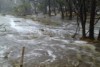 Heavy rain near Williams.