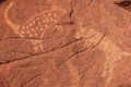 Petroglyphs of mammals on Burrup Peninsula rocks.