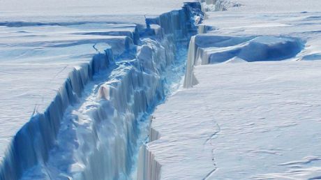 A crack in the Larsen C ice shelf grew 17 kilometres in December. 