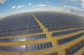 The Moree solar farm in NSW uses similar technology to the planned Victorian plants.