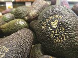 In this photo taken on Tuesday Jan. 31, 2017, laser branded avocados are displayed at the ICA Kvantum supermarket in Malmo, Sweden. Something high-tech is happening in the produce aisle at some Swedish supermarkets, where laser marks have replaced labels on the organic avocados and sweet potatoes. (AP Photo/James Brooks)