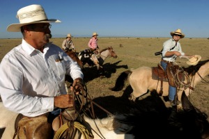 Rancher Duke Phillips, left and Western painter Duke Beardsley, right, ride together for the last round up of cattle for ...