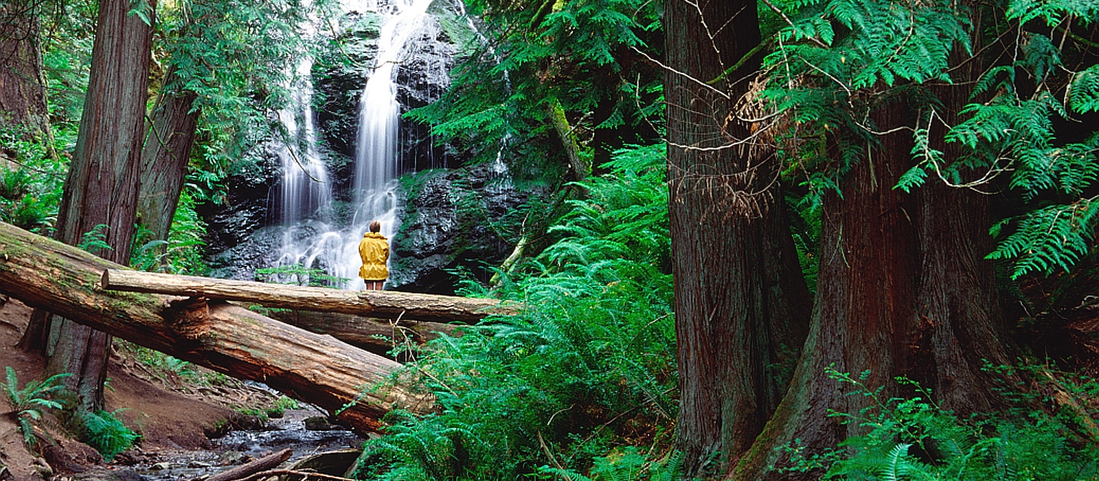 Cascade Falls, Moran State Park, Orcas Island, Photography by Mark Gardner