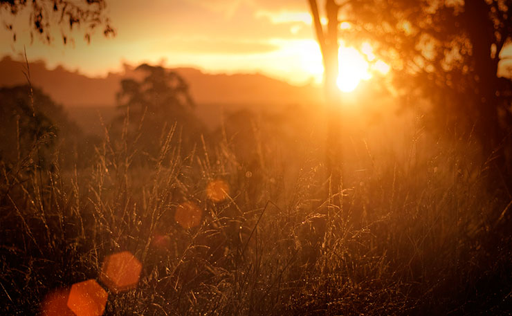 A sunrise in rural Victoria. (IMAGE: Indigo Skies Photography, Flickr)