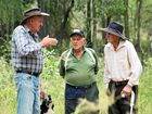 Dry, overgrown and unkempt - it's not exactly the dam three Grantham Scrub farmers remember.