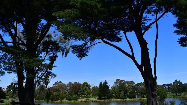 However you say the name of the suburb, Edwardes Lake is a lake, not a reservoir.