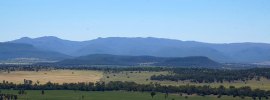 Whitehaven enviro offsets farce; by @greekmcchic on the ground at #leardblockade