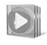 Windows Media Player Icon