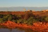 Water and vegetations returns to the outback town of Coober Peedy following big rains