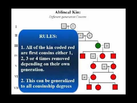 Kinship Relationships: Identification and Classification