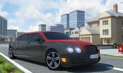 Luxury Limo 3D Parking