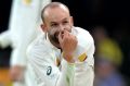 Nathan Lyon apparently had plenty to say in the field.