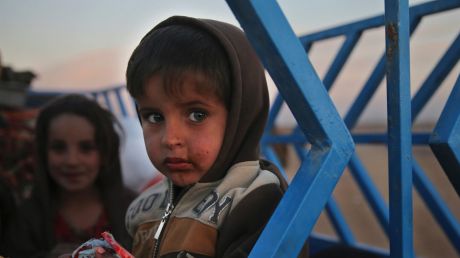 An Iraqi boy who fled with his parents from fighting between Iraqi forces and Islamic State militants, sits on a pickup ...