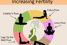 Fertility & conception