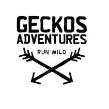 Gecko adventures