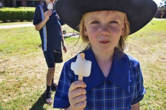 Ice blocks on a hot day