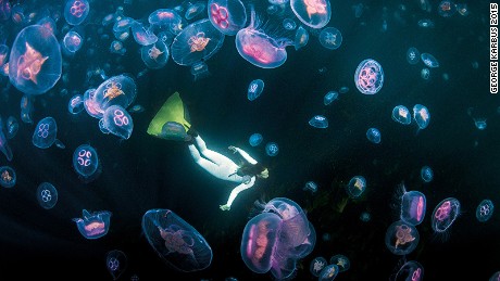 [PICTURE: UNDER EXPOSED OPOTY CATEGORY WINNER-GEORGE KARBUS.JPG]
UNDER EXPOSED -- WINNER
George Karbus (Czech Republic)
After 11 years of freediving in Irish waters I have seen many types of beautiful jellyfish, but the summer last year was exceptionally warm and sunny and the ocean was a different place. There were amazing runs of moon and compass jellyfish. My girlfriend and I were on a freedive session when we discovered these amazing clouds of moon jellyfish. We immediately began swimming among them, enjoying the pulsing as they propelled themselves along. 
Nikon D4 with Nikkor 16mm fisheye lens, ISO 1400, 1/500sec at f/11, Subal housing
georgekarbusphotography.com