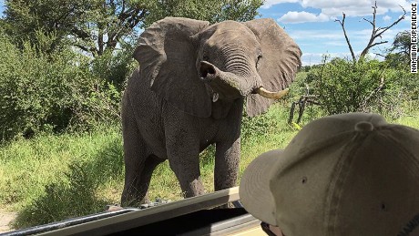 Elephants at Bwabata National Park, Namibia