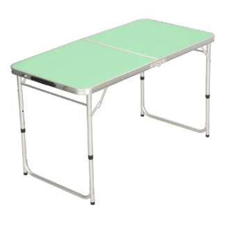 Solid Color: Mint Pong Table